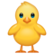 Poussin De Face