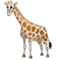 Girafe