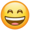 Visage Très Souriant Aux Yeux Rieurs