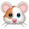 Hamster