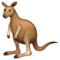 Kangourou