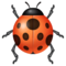 Coccinelle