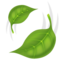 Feuille Virevoltante