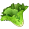 Légume À Feuilles Vertes