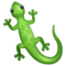 Lézard