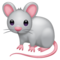 Souris