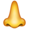 Nez