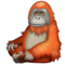 Orang-Outan
