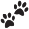 Empreintes D’Animaux