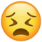 Visage Persévérant