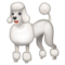 Caniche