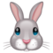 Tête De Lapin
