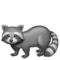Raton Laveur