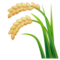 Plant De Riz