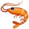 Crevette