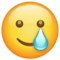 Visage Souriant Avec Une Larme