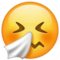 Visage Qui Éternue