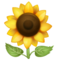 Tournesol