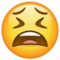 Visage Fatigué