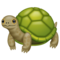Tortue