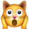 Chat Épuisé