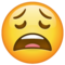 Visage Épuisé