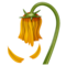 Fleur Fanée