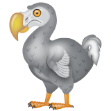 डोडो