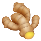 Kořen zázvoru