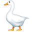 हंस