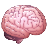 Мозг для WhatsApp 2.25.1.75