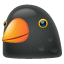 Oiseau noir