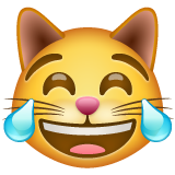 Chat Qui Pleure De Joie