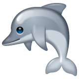 Dauphin