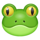 Grenouille
