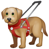 Chien Guide