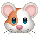 Hamster