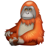 Orang-Outan