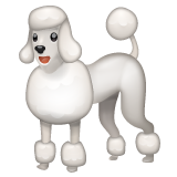 Caniche
