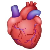 Anatomical Heart for WhatsApp 2.26.8.72