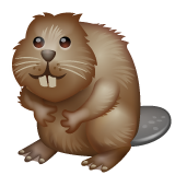 Beaver for WhatsApp 2.26.8.72