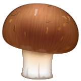 Brown Mushroom for WhatsApp 2.26.8.72