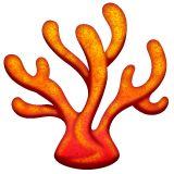 第珊瑚号为第WhatsApp 2.26.8.72号