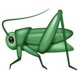 Cricket for WhatsApp 2.26.8.72