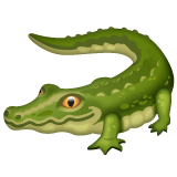Crocodile pour WhatsApp 2.26.8.72