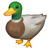 Canard pour WhatsApp 2.26.8.72