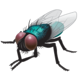 Fly for WhatsApp 2.26.8.72