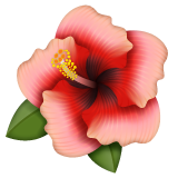 Hibiscus pour WhatsApp 2.26.8.72