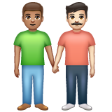 Dois Homens De Mãos Dadas: Pele Morena, Pele Clara para WhatsApp 2.26.8.72