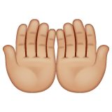 Palmas Unidas Para Cima: Pele Morena Clara para WhatsApp 2.26.8.72